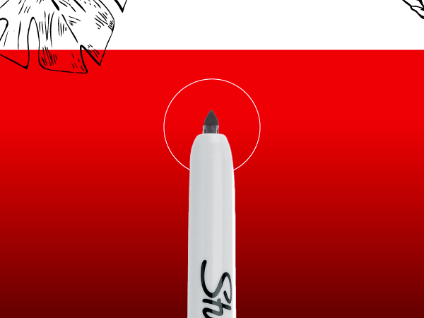 Sharpie Permanent Markers, Fine Tip, Red, 36 Count - Marks on Paper, Plastic, Metal, Wood, Perfect for Drawing, Coloring, Posters, Home, Office Supplies