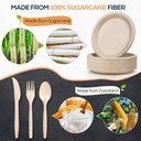 inanna-350-pcs-disposable-dinnerware-set-4.jpg