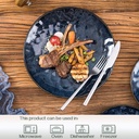 vicrays-ceramic-dinner-plates-set-105-in-3.jpg