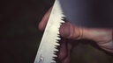 hooyman-extendable-tree-saw-with-compact-3.jpg