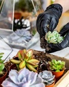 melphoe-25pcs-mini-garden-hand-transplan-3.jpg