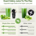 juicer-machineslow-masticating-juicer-wi-4.jpg