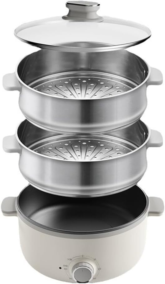 electric-steamer-multi-functional-layer--3.jpg