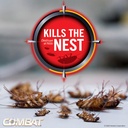combat-max-large-roach-killing-bait-8-co-6.jpg