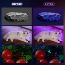 365nm-black-light-flashlight-uv-flashlig-6.jpg