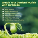 seed-vault-heirloom-vegetable-seeds-plan-4.jpg