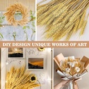 sukh-100-stems-dried-wheat-stalks-for-de-5.jpg