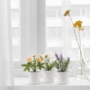 28-pack-4-inch-small-plant-pots-plastic--2.jpg