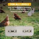 strombergs-large-blank-egg-cartons-bulk--5.jpg