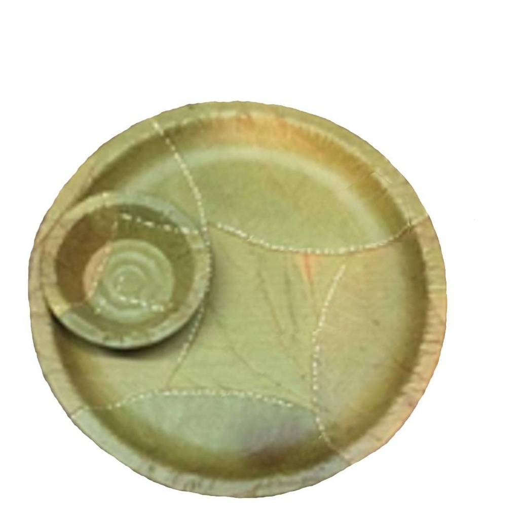 vrindavan-shopi-leaf-biodegradable-dispo-51NERJK9dGL.jpg