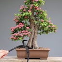 bamboomn-105-trunk-splitter-tool---1-pie-2.jpg