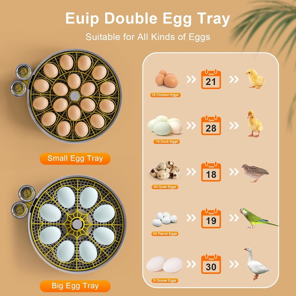 incubator-for-hatching-eggs-18-egg-capac-5.jpg