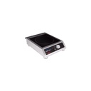 Spring USA Built-In MAX Induction 2600W Countertop Range
