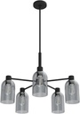 Hunter Fan Company 19198 Lochemeade Chandelier, Natural Iron