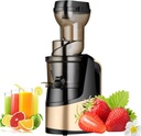 Masticating Pure Juicer150w,Juice Separation Juicer -Household with Reverse Function,Low Speed Cold Presswith Grid Filter,Perfect for Home-Easy to Clean,Gold